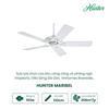 Quạt Trần HUNTER MARIBEL 50557