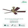 QUẠT TRẦN HUNTER SAVOY 24520