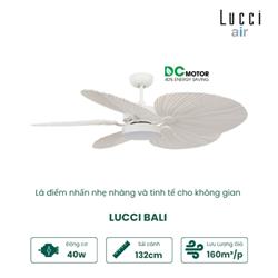 Quạt Trần LUCCI BALI WH 210654 - Trắng