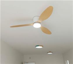 Quạt trần đèn 3 cánh nhựa abs SM016 - 4 màu