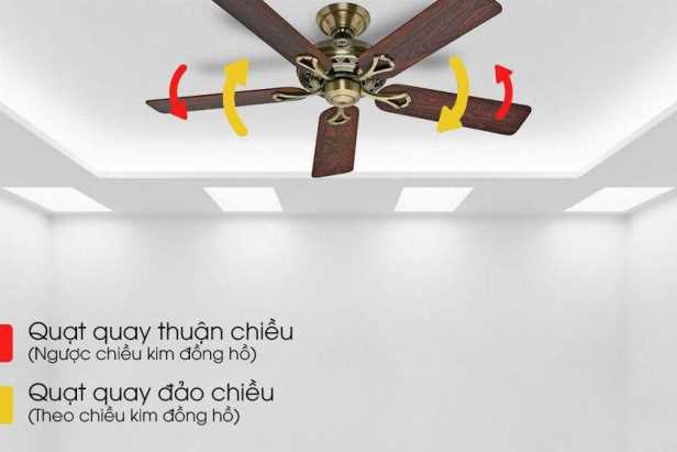 Quạt trần đảo chiều gió có tác dụng gì?