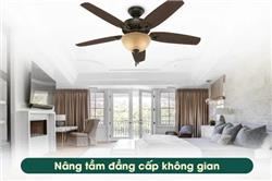 Quạt Trần HUNTER BUILDER DELUXE - 3 màu