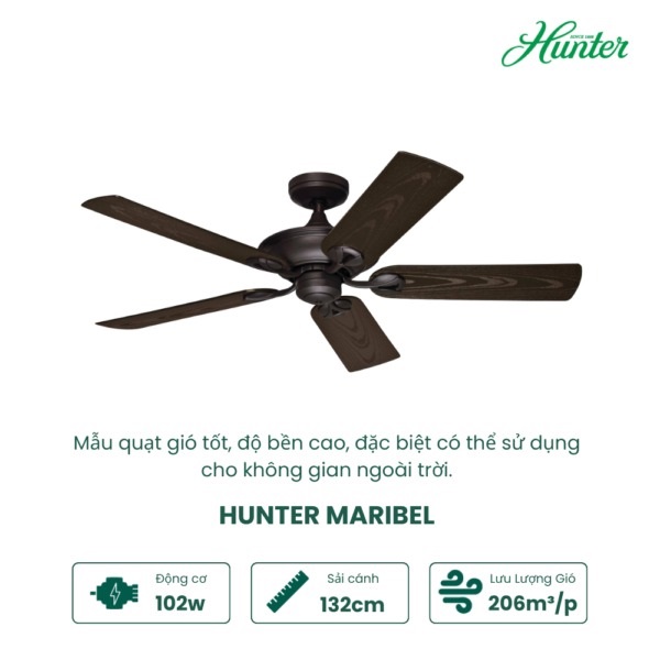 MARIBEL 50555