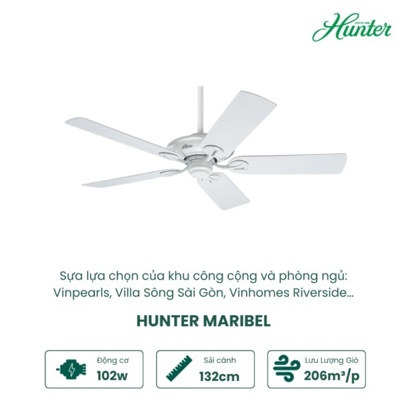 MARIBEL 50557