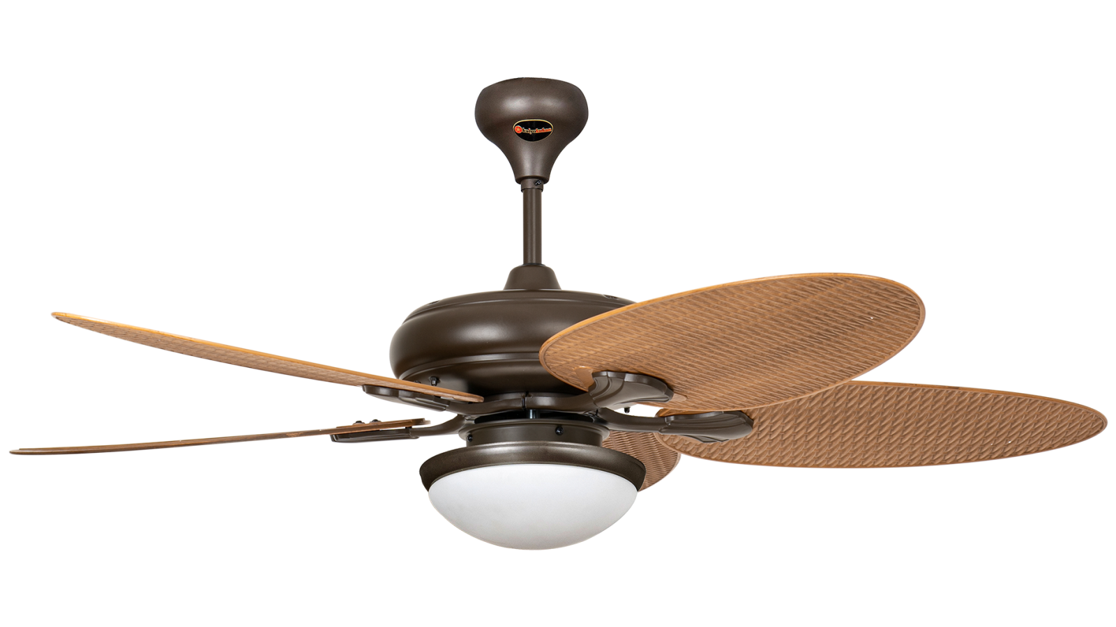 Kaiyokukan Kochi 168