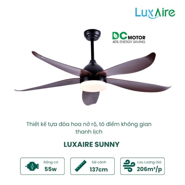 ECO SUNNY 54” SU545BL